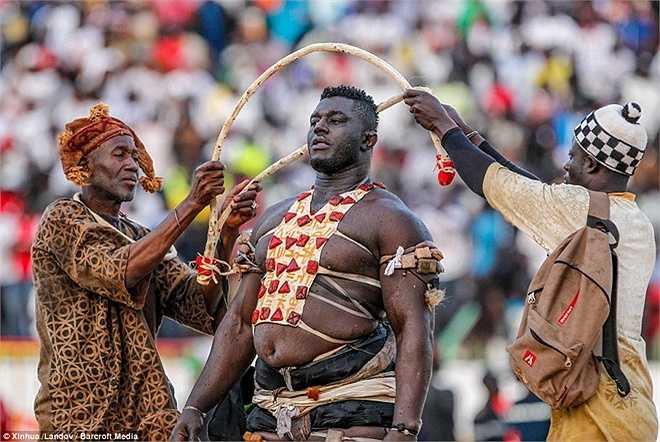 Võ sĩ khiến đối thủ nằm trên sân sẽ giành chiến thắng. 