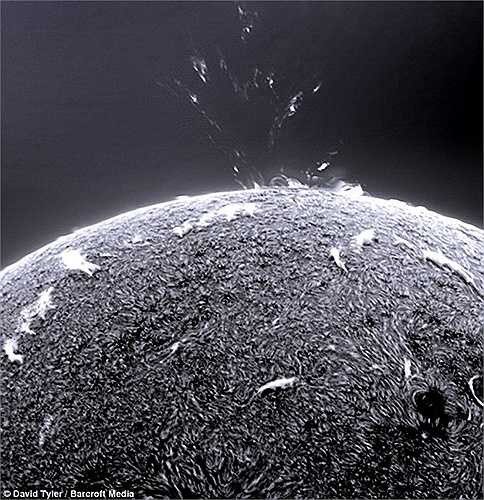 Dave Tyler đã đam mê thiên văn kể từ xem tập đầu tiên của chương trình Sky at Night trên kênh truyền hình BBC