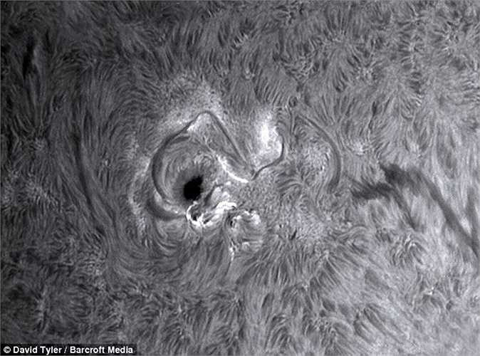 Hình ảnh vết đen trên mặt trời