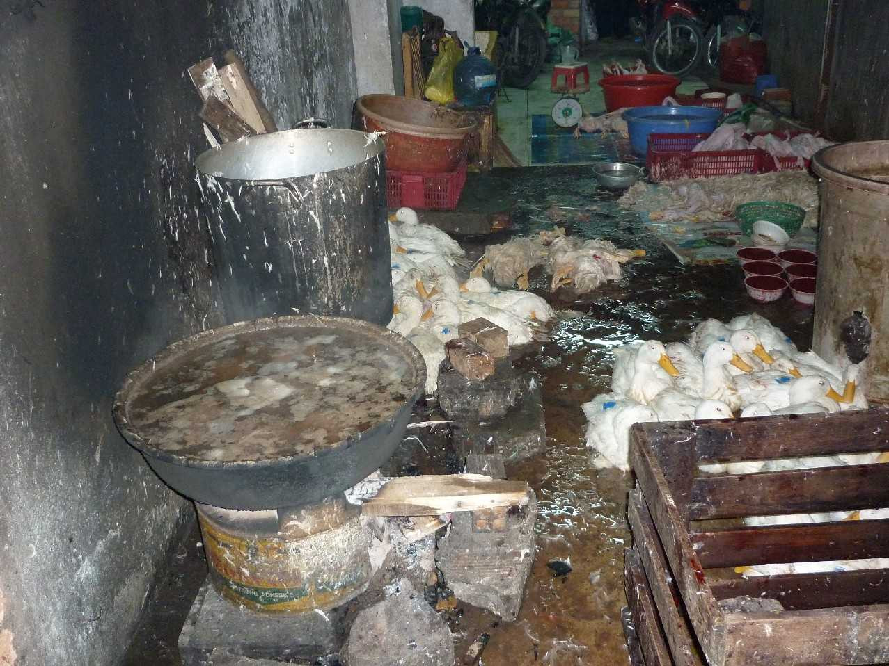 Hãi hùng cảnh tượng chế biến thực phẩm bẩn trên nền nhà