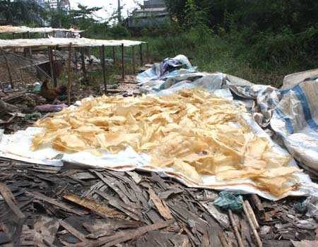 Hãi hùng cảnh tượng chế biến thực phẩm bẩn trên nền nhà