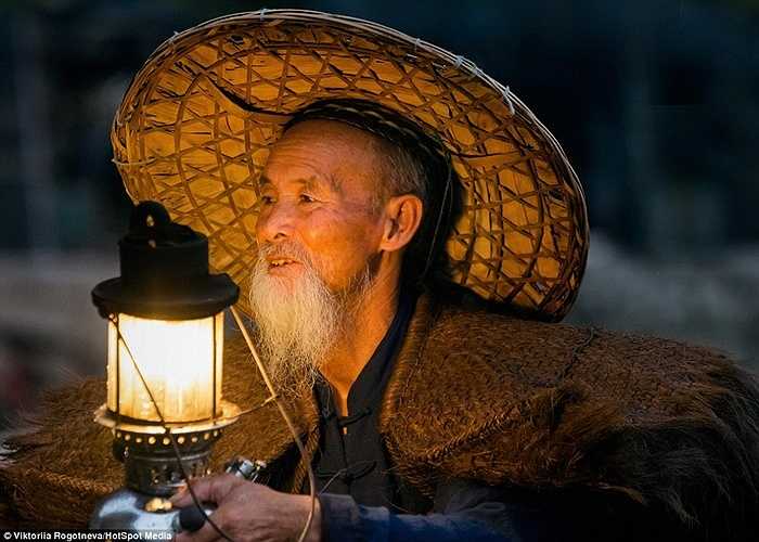 Những con chim cốc được huấn luyện để đi bắt cá chép cho ngư dân