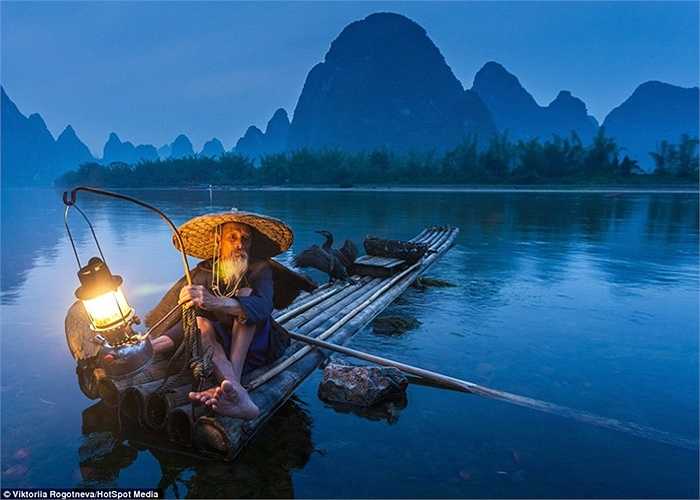 Họ lấy cá từ miệng con chim cốc sau mỗi chuyến đi săn của nó