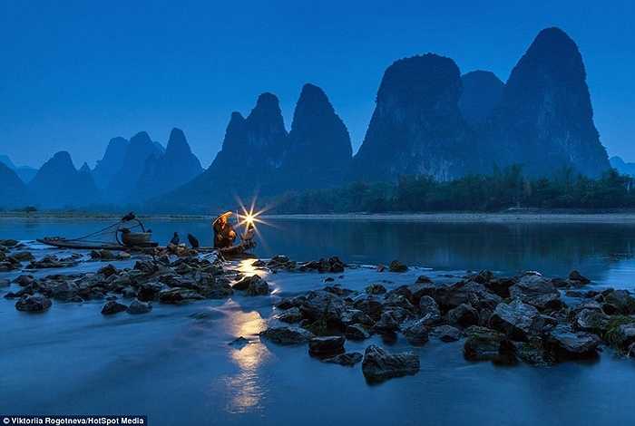 Buổi đi săn sớm của người ngư dân và con chim cốc