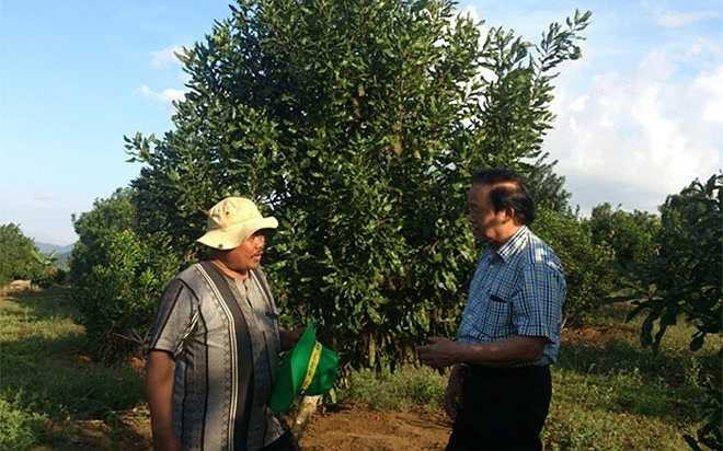 GS.TS Nguyễn Lân Hùng, Tổng thư ký Các hội sinh học Việt Nam, trò chuyện với một công nhân tại khu vườn mắc ca giống của Công ty Vinamacca tại huyện M’Drak (Đắk Lắk). Trên khu vườn 8 ha của công ty này, chỉ cần 2 công nhân chăm sóc thường xuyên, do loại cây này khá “dễ tính”.