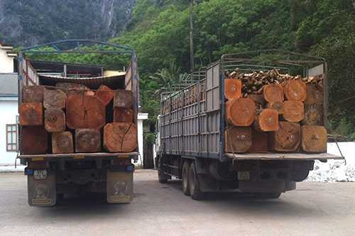 Đoàn xe chở gỗ khủng 'đại náo' trên quốc lộ 7