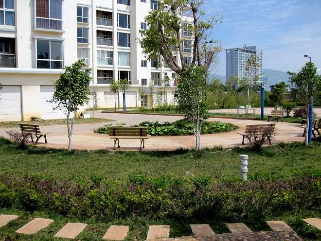 Theo một bài viết trên một trang tin của Trung Quốc đăng tải hồi năm 2006, Đại Doanh Nhai là trấn sinh thái với những công viên, hồ nước, vườn hoa bên cạnh những tòa nhà nhà hiện đại và các cơ sở sản xuất công nghiệp 