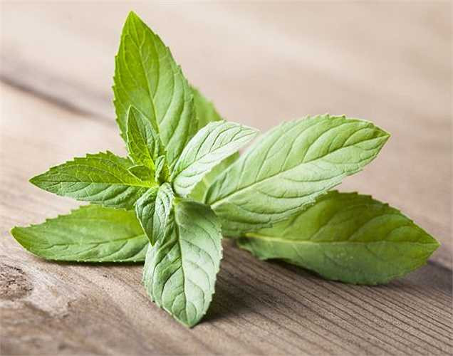 Se khít lỗ chân lông: đập dập vài lá bạc hà, trộn chúng với mật ong và bôi hỗn hợp này lên da của bạn để làm cho sạch và se khít lỗ chân lông của bạn.