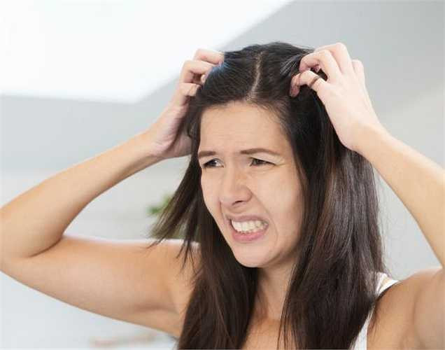 Dưỡng tóc: Hương bạc hà thơm tự nhiên, dùng nước ép bạc hà để mái tóc của bạn luôn mượt mà và đẹp tự nhiên.