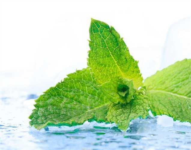 Xoa dịu vết côn trùng cắn: Thoa một ít nước chút bạc hà vào vết côn trùng cắn hay đốt để làm dịu ngứa và làm mát làn da của bạn.