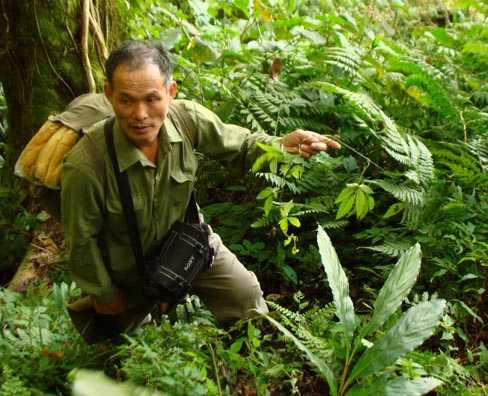 Trường Sinh Thang