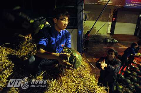 Người Hà Nội thức đêm, đội mưa bán dưa hấu giúp nông dân Quảng Nam