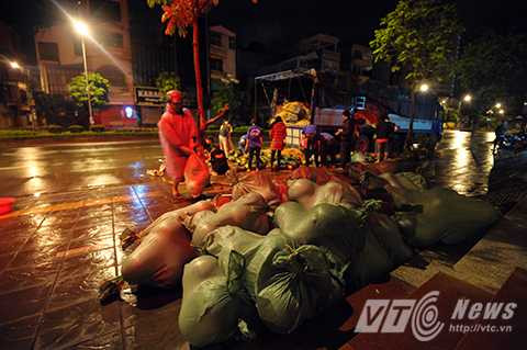 Người Hà Nội thức đêm, đội mưa bán dưa hấu giúp nông dân Quảng Nam