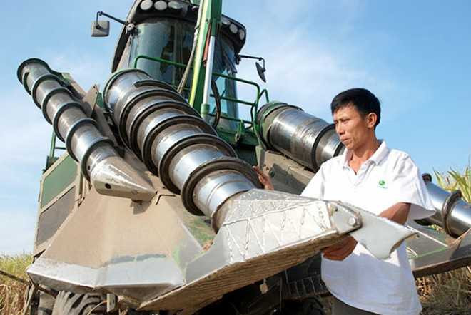 Lão nông trồng mía chịu chơi