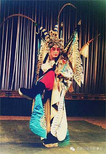 Từ sau khi tham gia Tây Du Ký được nửa năm, Lục Tiểu Linh Đồng cũng chính thức tham gia diễn xuất và gắn bó với màn ảnh nhỏ. 