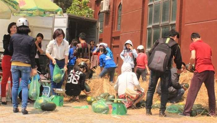 Sinh viên tình nguyện cùng giảng viên trường Đại học Phương Đông cùng chung tay bán dưa giúp những người nông dân Quảng Nam.