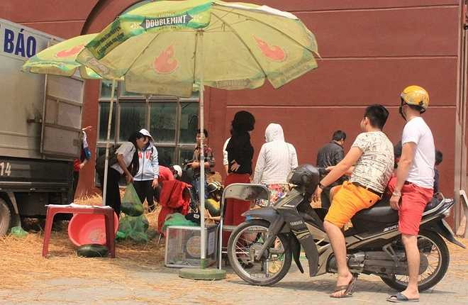 14 tấn dưa hấu được giảng viên, sinh viên bán trong vòng hơn 2 tiếng.
