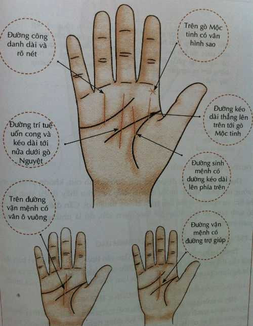 Tướng tay của người thành công trong sự nghiệp