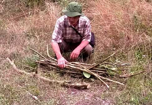 Trường Sinh Thang
