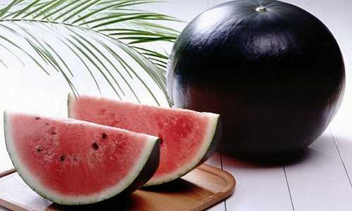 Những loại hạt giống độc đẹp lạ 'làm mưa làm gió' trên thị trường