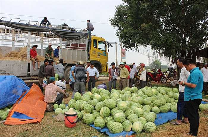 Kinh Nghiệm Vận Chuyển Dưa Hấu Từ Quảng Ngãi Ra Hà Nội Kinh Nghiệm Vận Chuyển Dưa Hấu Từ Quảng Ngãi Ra Hà Nội
