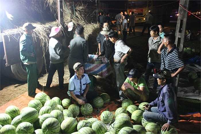 Những tấn dưa cuối cùng được người dân chất lên xe chuyển ra Hà Nội.