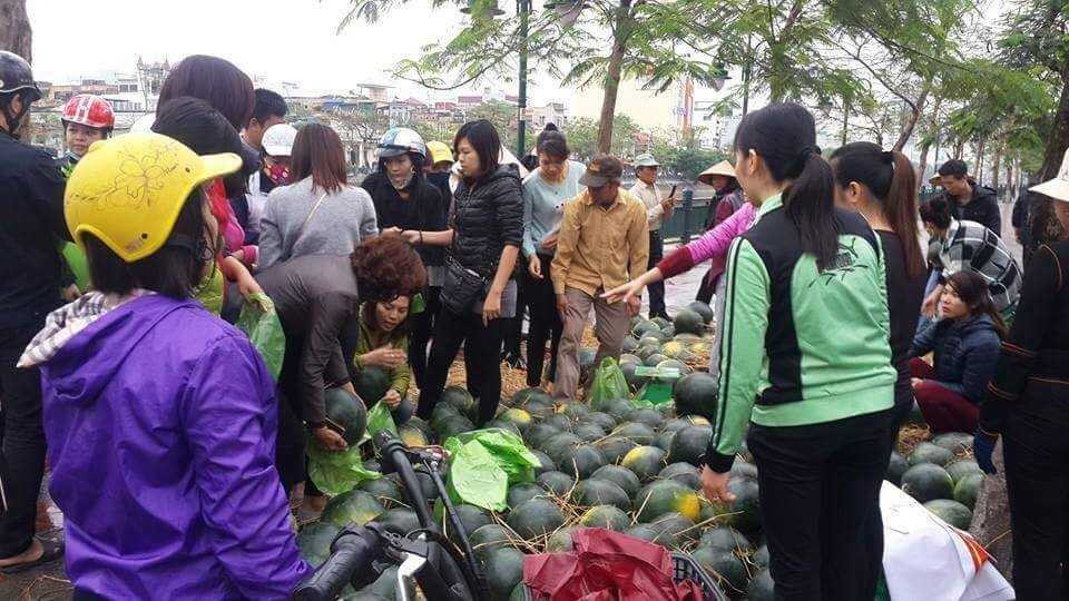 Cảnh báo thảm cảnh lặp đi lặp lại với nông dân Việt