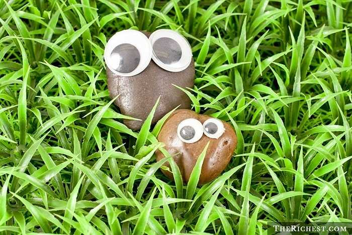 3. Thú cưng đá. Vào những năm 1970, Gary Dahl đã phát minh ra ý tưởng này khi muốn mọi người đều có thể sở hữu một thú cưng mà không cần phải chăm sóc quá nhiều. Điều bất ngờ là ông có thể bán được 1,5 sản phẩm chỉ trong vòng 1 năm. Thậm chí đến nay bạn vẫn có thể mua sản phẩm qua Petrock.com