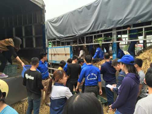 Quảng Nam, Quảng Ngãi 'làm ngơ' trước khó khăn của nông dân: Lãnh đạo tỉnh phản pháo