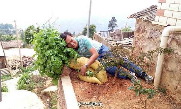 Củ cải có màu hơi vàng như màu củ cà rốt. Người trồng củ cải này chia sẻ, anh ta chỉ mua hạt giống ở chợ như mọi lần rồi đưa về trồng