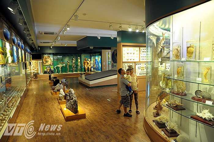 Viện bảo tàng thiên nhiên Việt Nam nằm gọn trong khuôn viên của Viện Hàn lâm Khoa học và Công nghệ Việt Nam (số 18 Hoàng Quốc Việt, Cầu Giấy, Hà Nội). Với diện tích trưng bày hơn 300m2 về nguồn gốc sự sống, lịch sử sự sống và sự sống thời hiện tại.