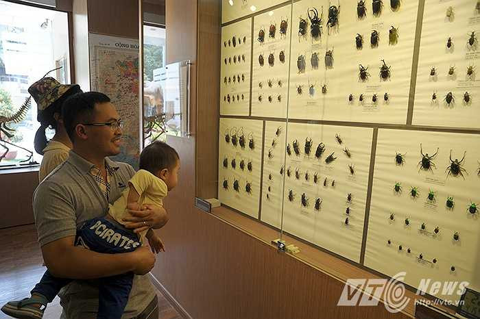 ‘Lần đầu cùng gia đình đến đây, tôi muốn tìm cho cháu một sân chơi vừa thú vị, vừa bổ ích, tuy diện tích còn hơi nhỏ nhưng những mẫu vật ở đây lại khá đa dạng, giúp ta có thể hình dung khái quát phần nào về sự hình thành của sự sống trên trái đất’ anh Bằng chia sẻ.