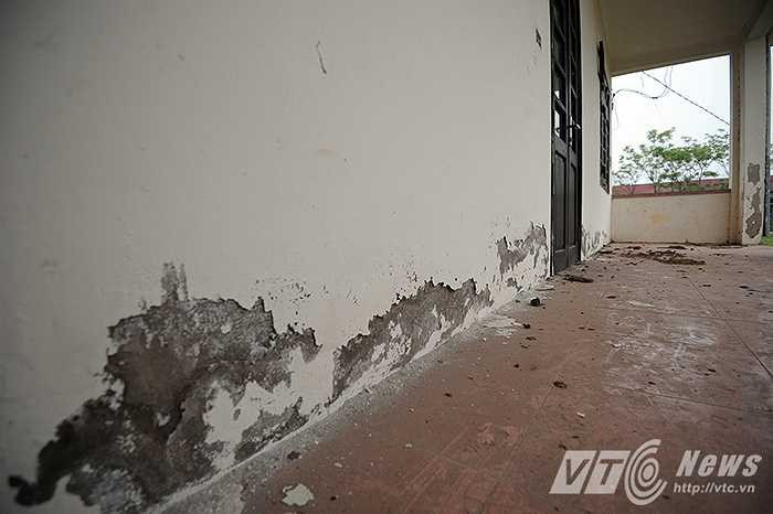 Những mảng tường bong tróc, dọc hành lang của ngôi trường là nơi cho trâu bò, động vật phóng uế bừa bãi.