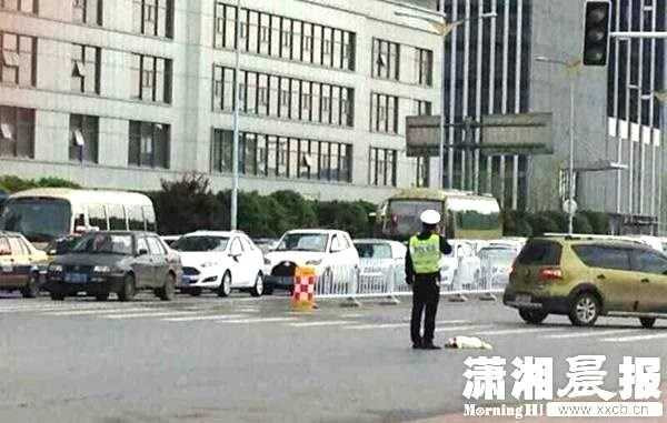 Viên sỹ quan cảnh sát bảo vệ chú chó bị thương