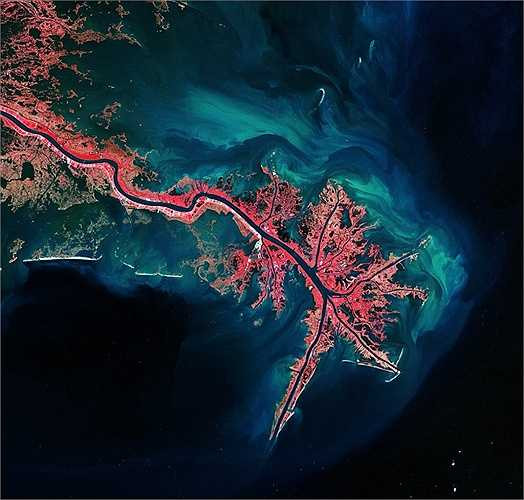 Đây là đồng bằng sông Mississippi, Vịnh Mexico. Thảm thực vật có màu hồng và trầm tích là phần màu xanh sáng và màu xanh lá cây.
