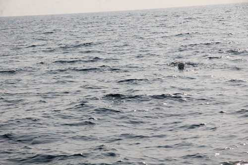 Hình ảnh mới nhất từ hiện trường tìm kiếm Su-22 rơi