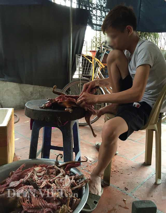 Lạnh người chứng kiến mèo bị dìm chết, xẻ thịt ở Thái Bình