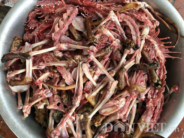 Lạnh người chứng kiến mèo bị dìm chết, xẻ thịt ở Thái Bình