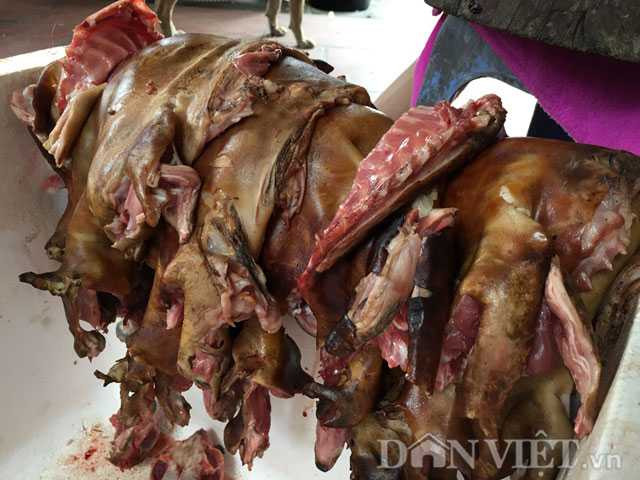 Lạnh người chứng kiến mèo bị dìm chết, xẻ thịt ở Thái Bình