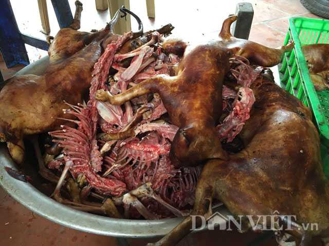 Lạnh người chứng kiến mèo bị dìm chết, xẻ thịt ở Thái Bình