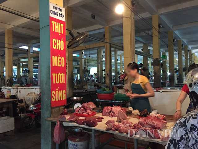 Lạnh người chứng kiến mèo bị dìm chết, xẻ thịt ở Thái Bình