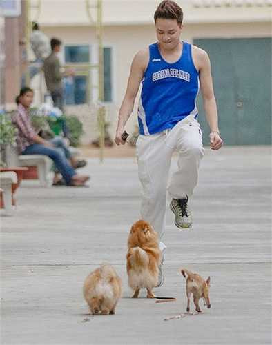 Ngoài 3 chú cún mà nam ca sỹ đang vô tư vui đùa trong hình, hiện nay Cao Thái Sơn đã nhận nuôi thêm thành viên thứ 4 và đặt tên chúng là Phốc, Ami, Louis và Kiki.