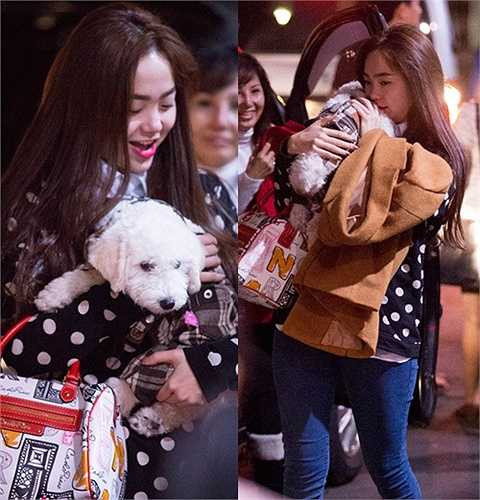 Cả nhà cô ai cũng yêu quý nó như người bạn thân thiết. Thậm chí, nữ ca sỹ thường xuyên ôm cún ngủ và đi đâu cũng muốn về sớm để chơi với Santa. Mỗi lần nữ ca sỹ lưu diễn nước ngoài trở về, gia đình Minh Hằng luôn hộ tống chó cưng ra sân bay đón cô chủ.