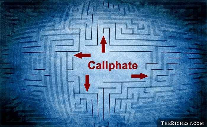 9. Tham vọng biến các vùng đất chiếm đóng thành lãnh thổ riêng. IS muốn một thánh địa Hồi giáo, sinh sống theo Luật đạo Hồi và các quy tắc riêng do chúng sáng tạo ra
