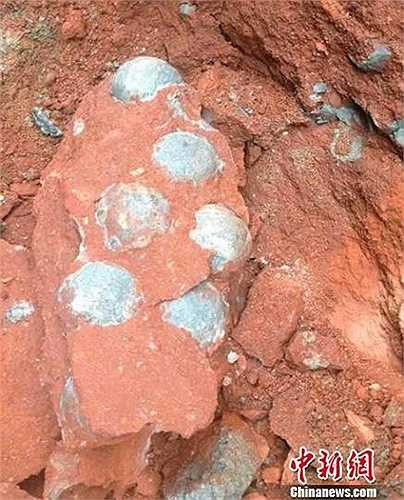 43 quả trứng khủng long hóa thạch đã được tìm thấy dưới đất thuộc một công trường xây dựng ở thành phố Hà Nguyên (Quảng Đông, Trung Quốc)