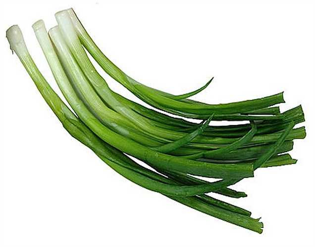 Chống nhiễm khuẩn: Hành lá có tác dụng tiêu diệt các vi khuẩn bao gồm cả Ecoli, ngoài ra còn có hiệu quả chống bệnh lao, nhiễm trùng đường tiểu, giảm tình trạng táo bón và đầy hơi, ù tai, nâng cao chất lượng dinh dưỡng