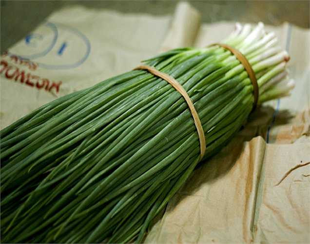 Ngăn ngừa ung thư: Ăn hành lá thường xuyên cũng giảm một số nguy cơ ung thư vì trong hành lá có thành phần flavonoid, ngoài ra còn giúp ngăn chặn sự phát triển của tế bào ung thư ruột kết, giảm rủi ro liên quan đến ung thư buồng trứng.