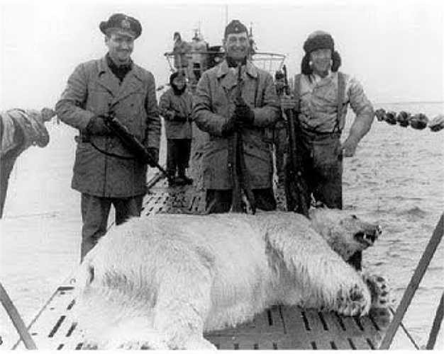 Bắt được một con gấu trắng Bắc cực.