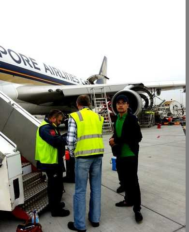 Thêm 400 con bò tơ đi chuyên cơ từ Úc về Việt Nam