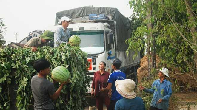 Hàng nghìn tấn dưa của nông dân miền Trung được các "hiệp sĩ" giải cứu. Ảnh: Đoàn Nguyên.